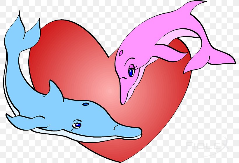 Whales, Dolphins And Porpoises Clip Art Illustration, PNG, 800x558px, Dolphin, Artwork, Beak, Cartoon, Cetaceans Download Free