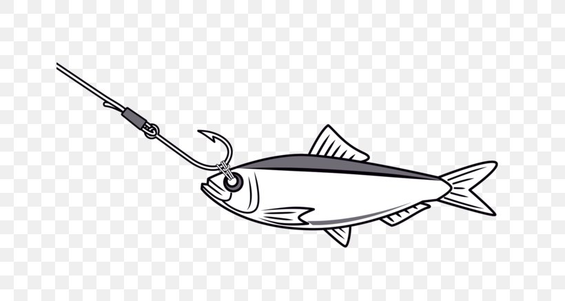 Zubok's Bait Tackle Marine SECU Commons Fish Heads Black & White, PNG, 655x437px, Black White M, Bonyfish, Business, Clothing Accessories, Fashion Download Free