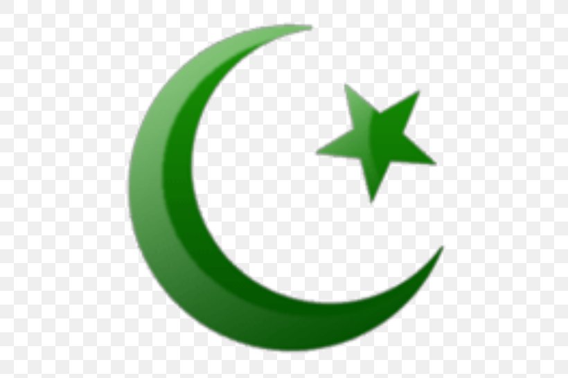 Bumper Sticker T-shirt Islam Pakistan Religion, PNG, 530x546px, Bumper Sticker, Christianity, Crescent, Culture, Dialogue Download Free