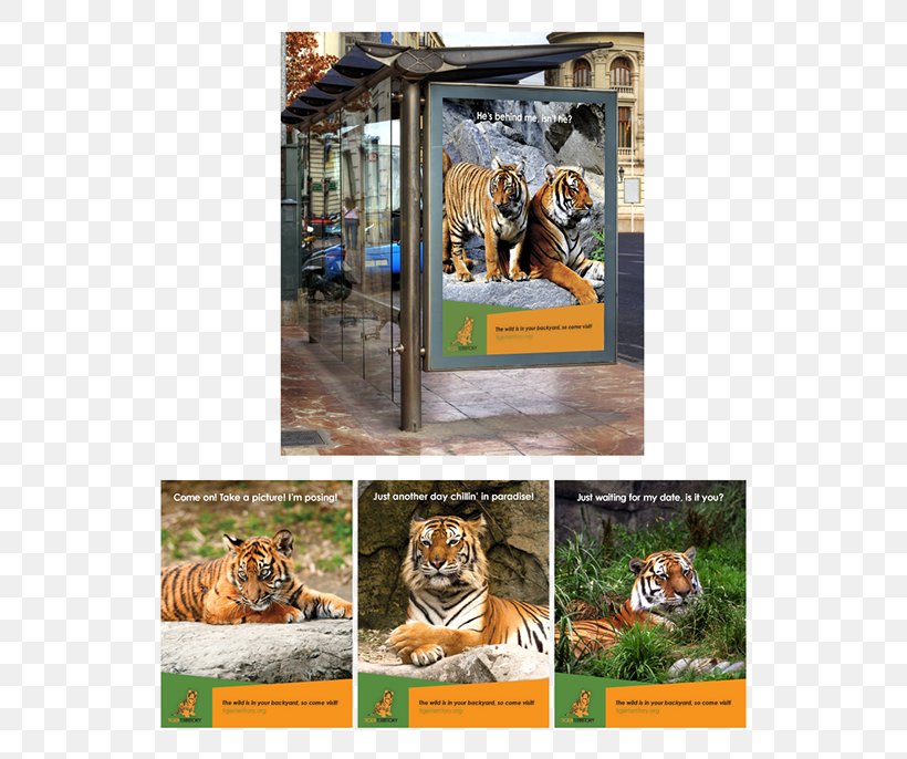 Tiger Phoenix Zoo Prague Zoo Wildlife, PNG, 600x686px, Tiger, Advertising, Big Cats, Brand, Cat Like Mammal Download Free