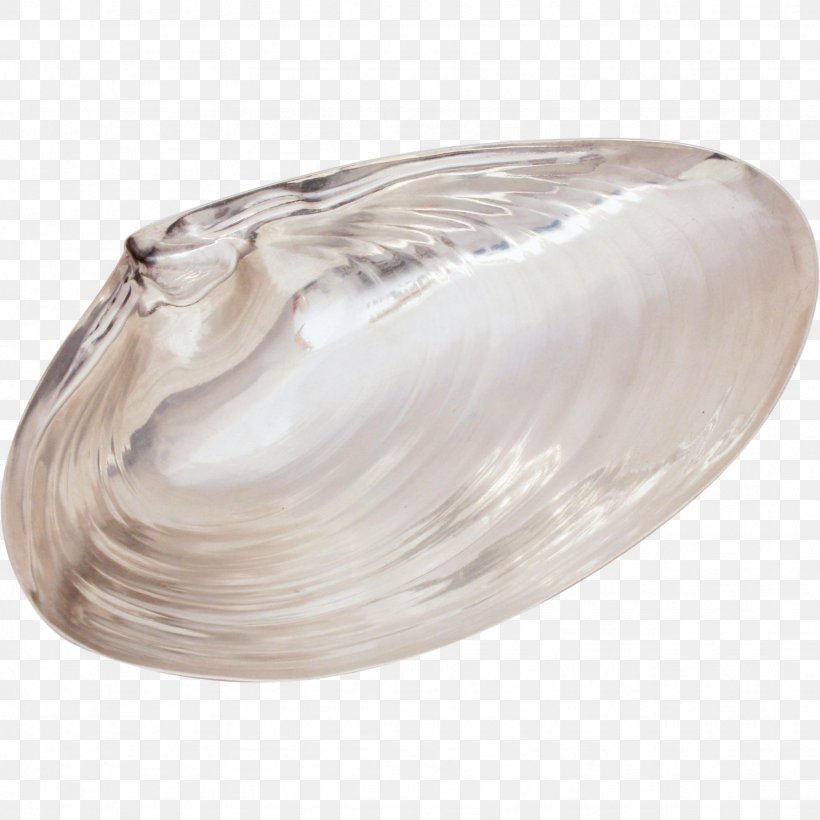 Clam Mussel Oyster Silver Scallop, PNG, 1846x1846px, Clam, Clams Oysters Mussels And Scallops, Mussel, Oyster, Scallop Download Free