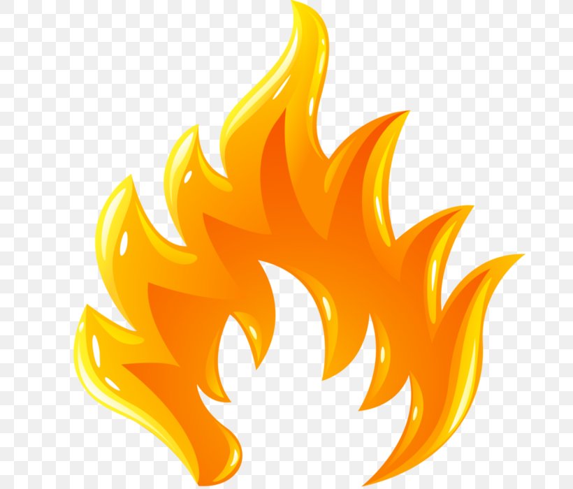 Flame Fire Combustion, PNG, 684x700px, Flame, Candle, Combustion, Cool Flame, Fire Download Free