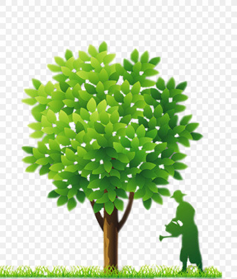 Fort Worth Euclidean Vector, PNG, 1272x1500px, Tree, Branch, Flowerpot, Garden, Grass Download Free