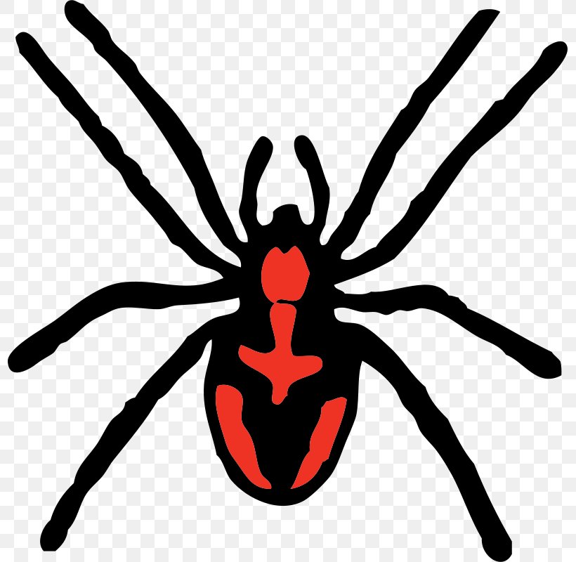 Redback Spider Clip Art, PNG, 797x800px, Spider, Animation, Arthropod, Artwork, Insect Download Free