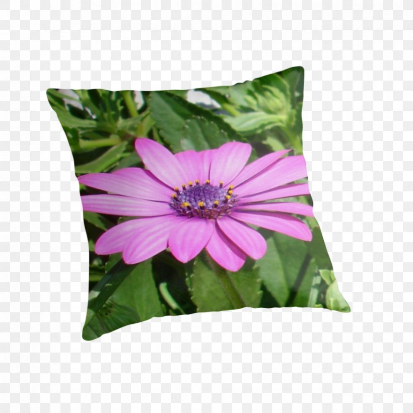 Violet Cushion Throw Pillows Green African Daisies, PNG, 875x875px, Violet, African Daisies, Cushion, Flower, Green Download Free