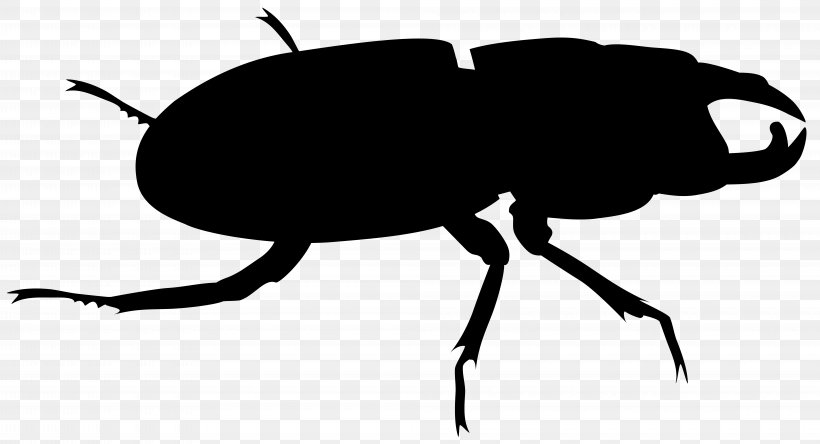 Weevil Clip Art Insect Silhouette Scarab, PNG, 8000x4339px, Weevil, Arthropod, Beetle, Blister Beetles, Darkling Beetles Download Free