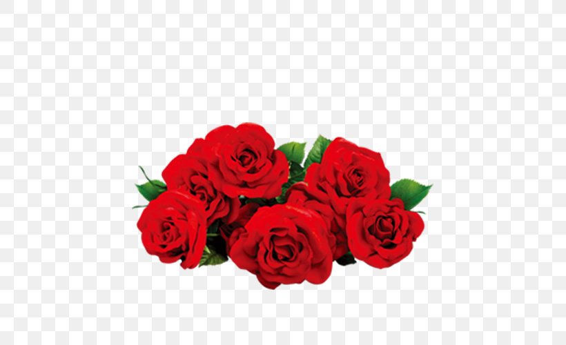 Beach Rose Flower Valentines Day, PNG, 500x500px, Beach Rose, Artificial Flower, Auglis, Cut Flowers, Floral Design Download Free