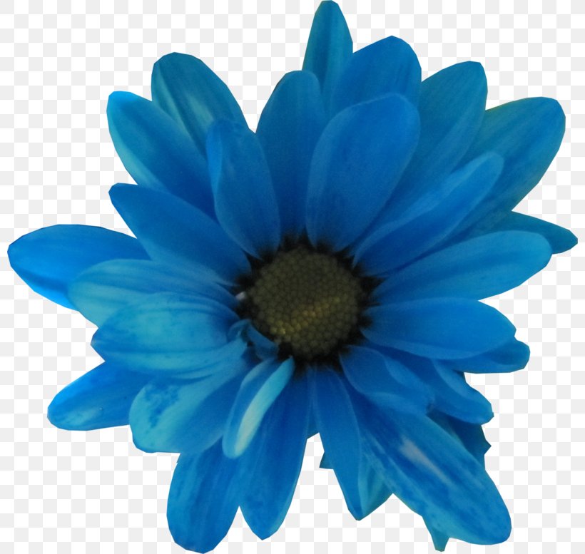 Cut Flowers Cobalt Blue Petal, PNG, 800x777px, Flower, Anemone, Annual Plant, Aster, Blue Download Free