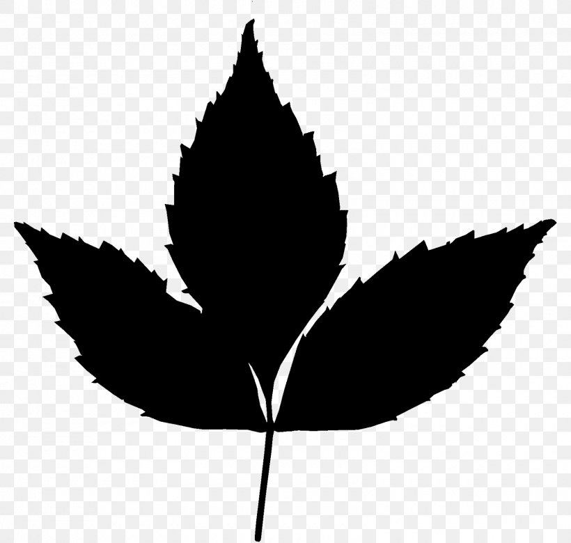 Maple Leaf T-shirt Image Plants, PNG, 1600x1523px, Leaf, Bag, Blackandwhite, Botany, Cannabis Download Free
