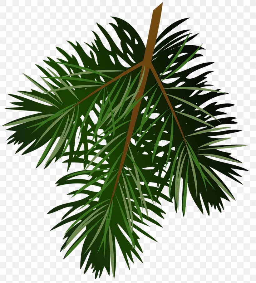 Pine Branch Clip Art, PNG, 940x1040px, Pine, Arecales, Borassus Flabellifer, Branch, Christmas Tree Download Free