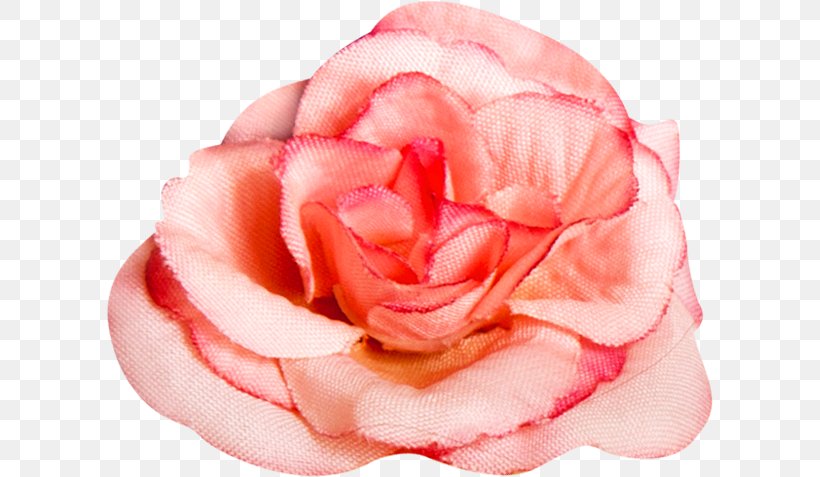 Garden Roses Flower, PNG, 608x477px, 3d Computer Graphics, Garden Roses, Close Up, Computer Graphics, Cut Flowers Download Free