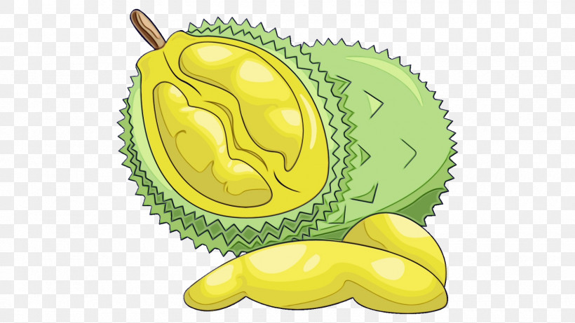 Yellow Fruit Durian Plant Food, PNG, 1600x900px, Watercolor, Durian, Food, Fruit, Paint Download Free