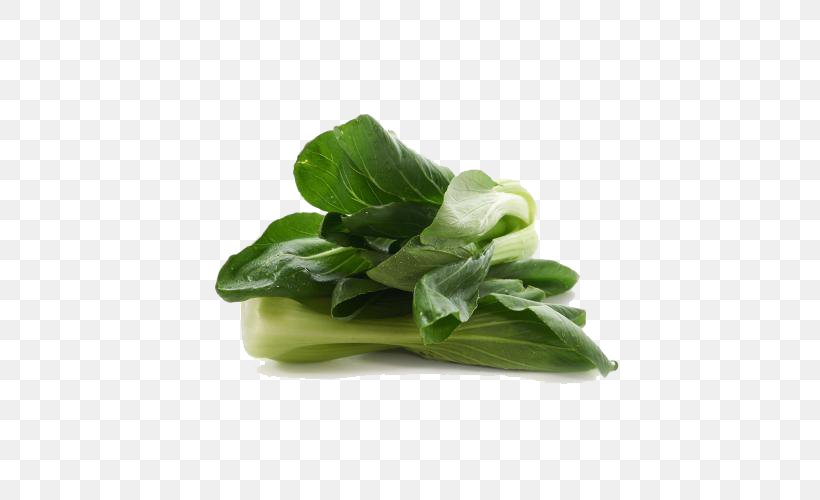 Choy Sum Spinach Romaine Lettuce Spring Greens Leaf Vegetable, PNG, 500x500px, Choy Sum, Basil, Bok Choy, Eating, Herb Download Free