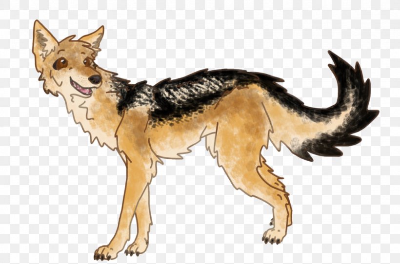 Dog Breed Red Fox Coyote Jackal, PNG, 1024x678px, Dog Breed, Breed, Carnivoran, Character, Coyote Download Free