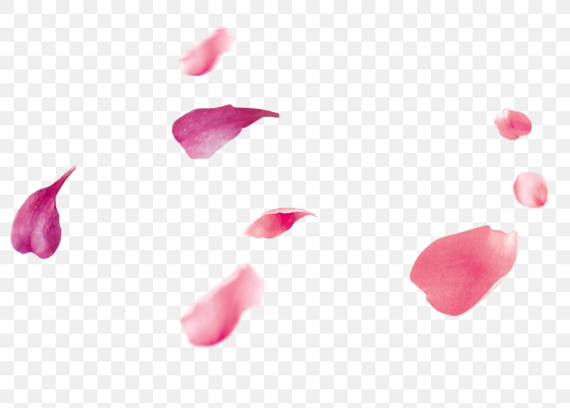 Petal Pink, PNG, 795x587px, Petal, Art, Color, Designer, Heart Download Free