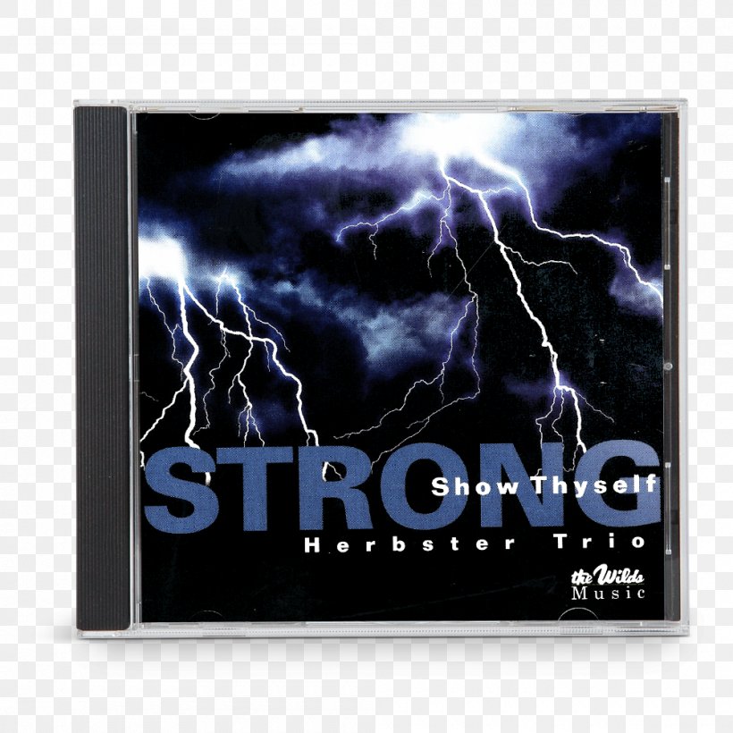 Thunderstorm Lightning Fear Clip Art, PNG, 1000x1000px, Thunder, Betrayal, Brand, Dog, Dream Dictionary Download Free