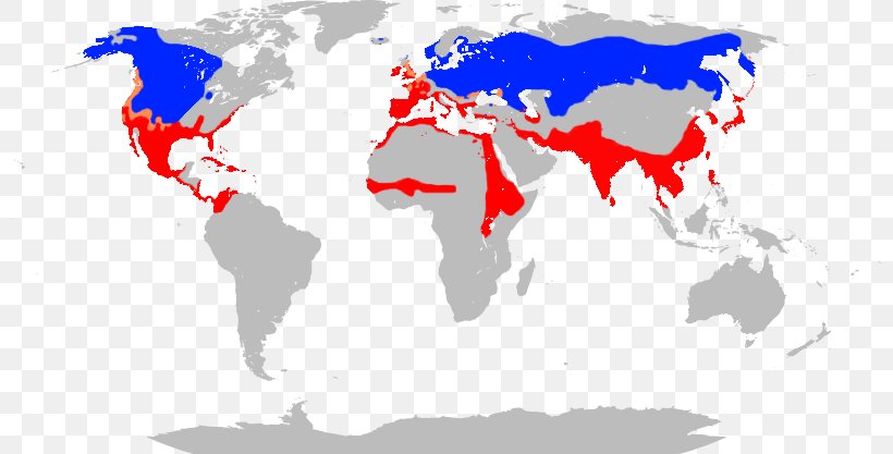 World Map Stock Photography, PNG, 800x417px, World, Blue, Map, Photography, Red Download Free