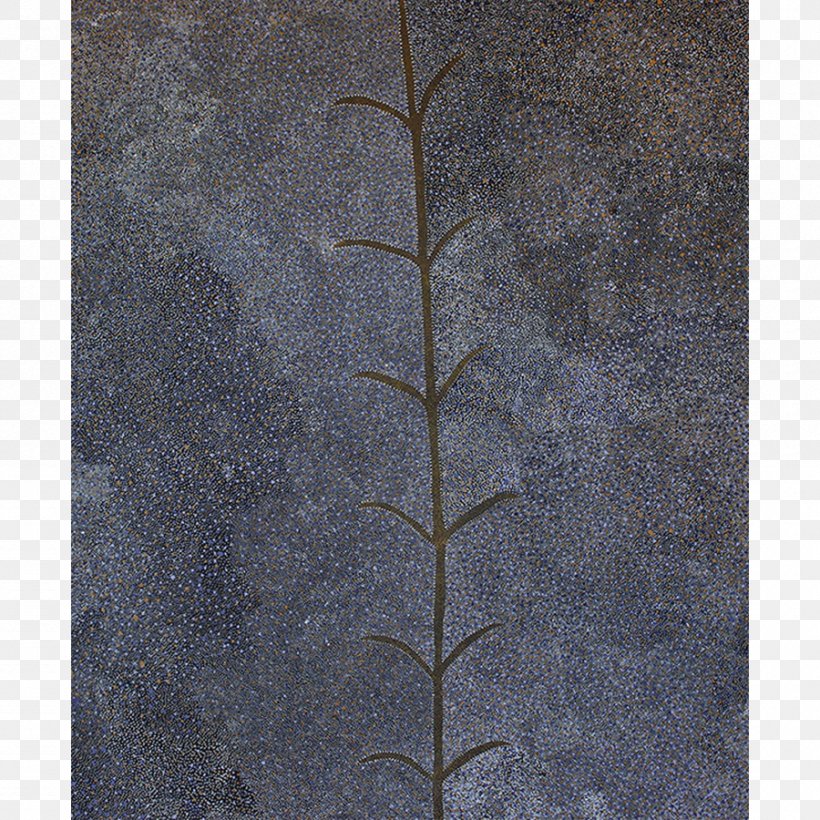 Concrete Angle Leaf, PNG, 900x900px, Concrete, Leaf Download Free