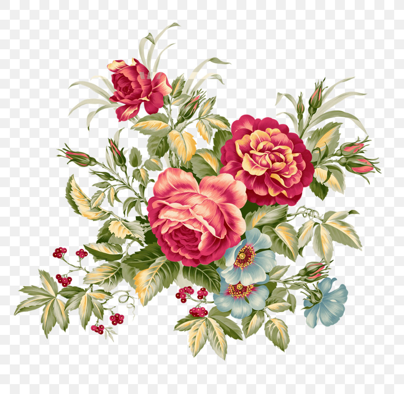 Garden Roses, PNG, 800x800px, Flower, Bouquet, Cut Flowers, Floristry, Garden Roses Download Free