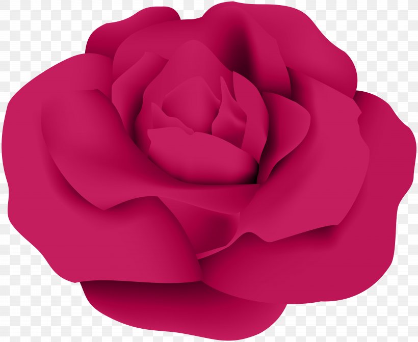 Garden Roses Centifolia Roses Flower Clip Art, PNG, 8000x6547px, Garden Roses, Blossom, Centifolia Roses, Flower, Flowering Plant Download Free