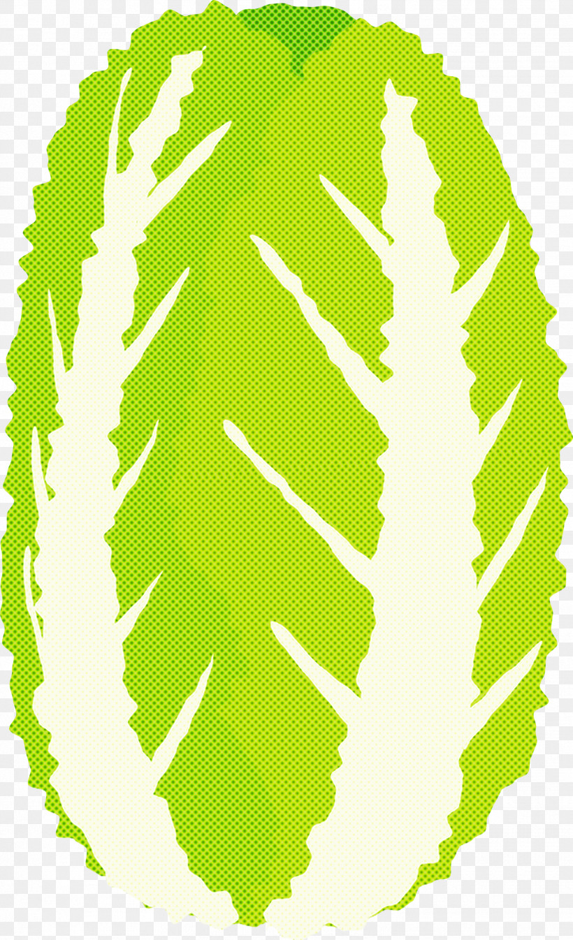 Nappa Cabbage, PNG, 1826x2998px, Nappa Cabbage, Leaf, Plant Download Free