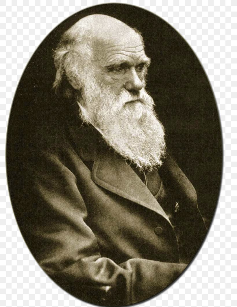 On The Origin Of Species The Voyage Of The Beagle The Young Charles Darwin Evolution Darwinism, PNG, 800x1064px, On The Origin Of Species, Alfred Russel Wallace, Beard, Black And White, Charles Darwin Download Free