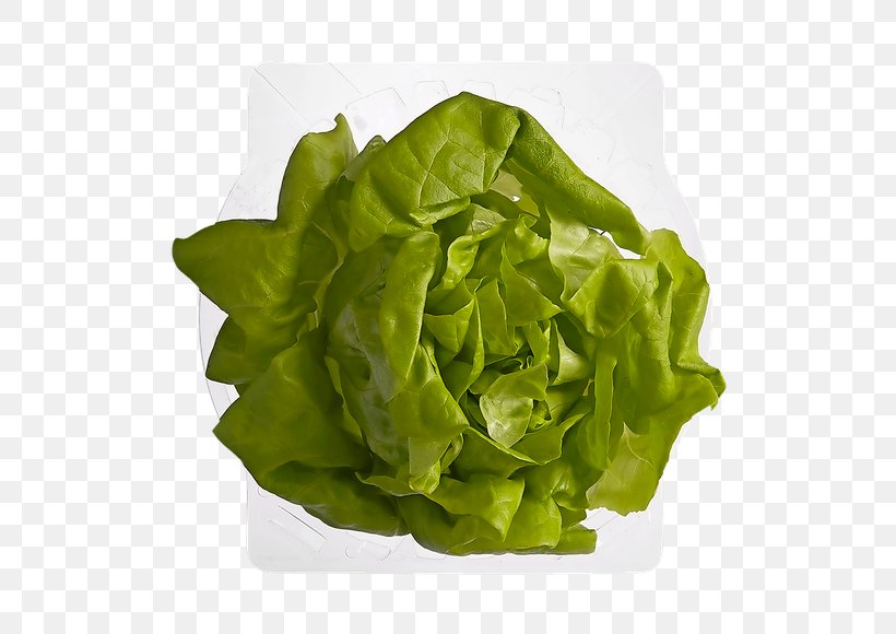 Romaine Lettuce Rijk Zwaan Red Leaf Lettuce Leaf Vegetable, PNG, 580x580px, Romaine Lettuce, Chard, Food, Lactuca, Leaf Vegetable Download Free