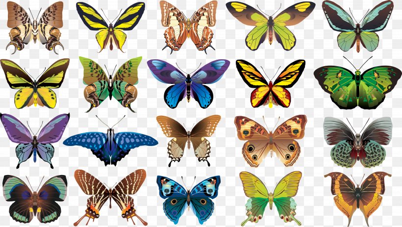 Butterfly Color Clip Art, PNG, 3542x2001px, Butterfly, Animal Figure, Arthropod, Brush Footed Butterfly, Butterflies And Moths Download Free