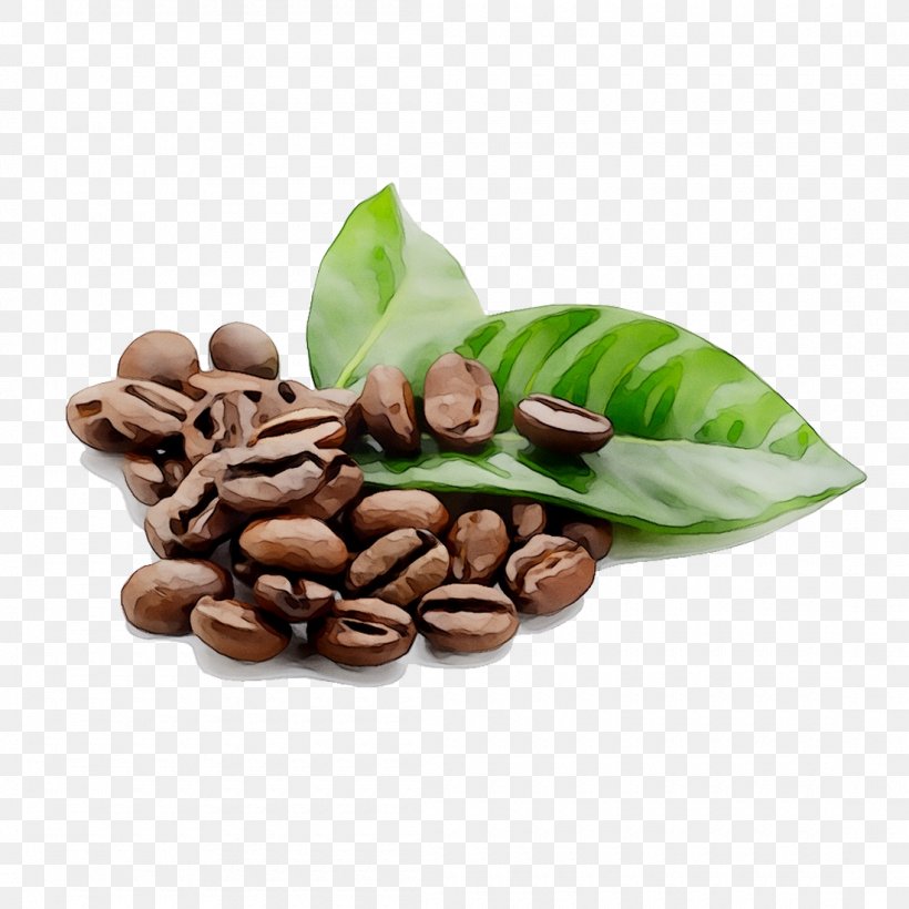 Coffee Bean Cafe Espresso Tea, PNG, 1100x1100px, Coffee, Arabica Coffee, Cafe, Caffeine, Coffee Bean Download Free
