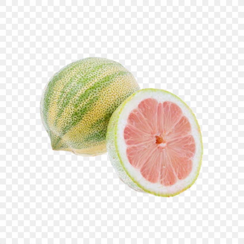 Grapefruit Key Lime Variegated Pink Lemon Lemonade, PNG, 1000x1000px, Grapefruit, Auglis, Citric Acid, Citrus, Food Download Free