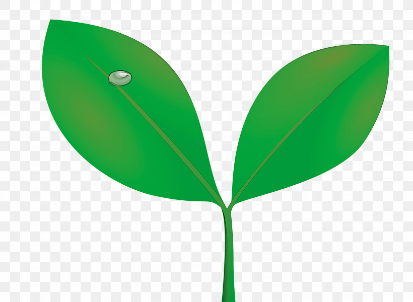 Sprout Bud Seed, PNG, 2999x2198px, Sprout, Bud, Flower, Flush, Green Download Free
