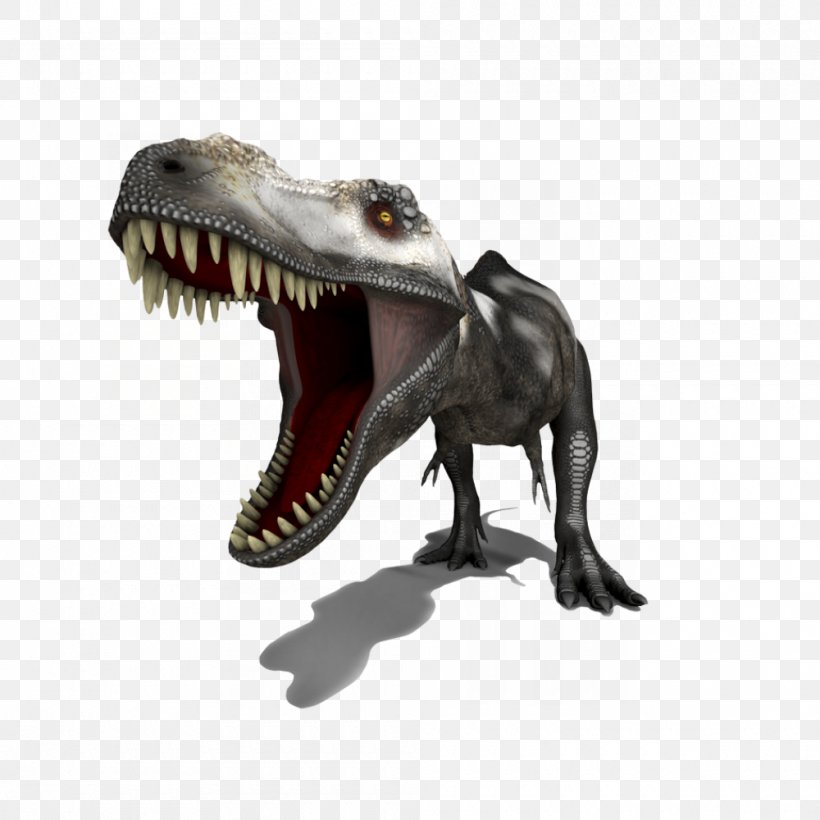 Tyrannosaurus Bird Dinosaur Horse Velociraptor, PNG, 1000x1000px, Tyrannosaurus, Animal, Bird, Cat, Dinosaur Download Free