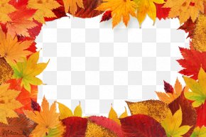 Autumn Leaves Frame Leaf - Autumn Leaf Color Picture Frame PNG