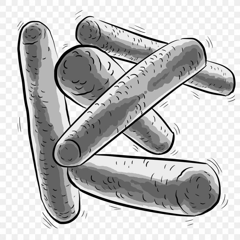 Bacteria Probiotic Lactobacillus Plantarum Prebiotic Dysbiosis, PNG, 1280x1280px, Bacteria, Automotive Design, Bacillus, Bifidobacterium, Black And White Download Free