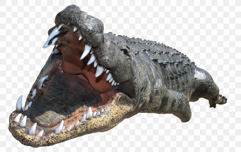 Crocodile Desktop Wallpaper, PNG, 1200x758px, Crocodile, Alligator, American Alligator, Crocodilia, New Guinea Crocodile Download Free
