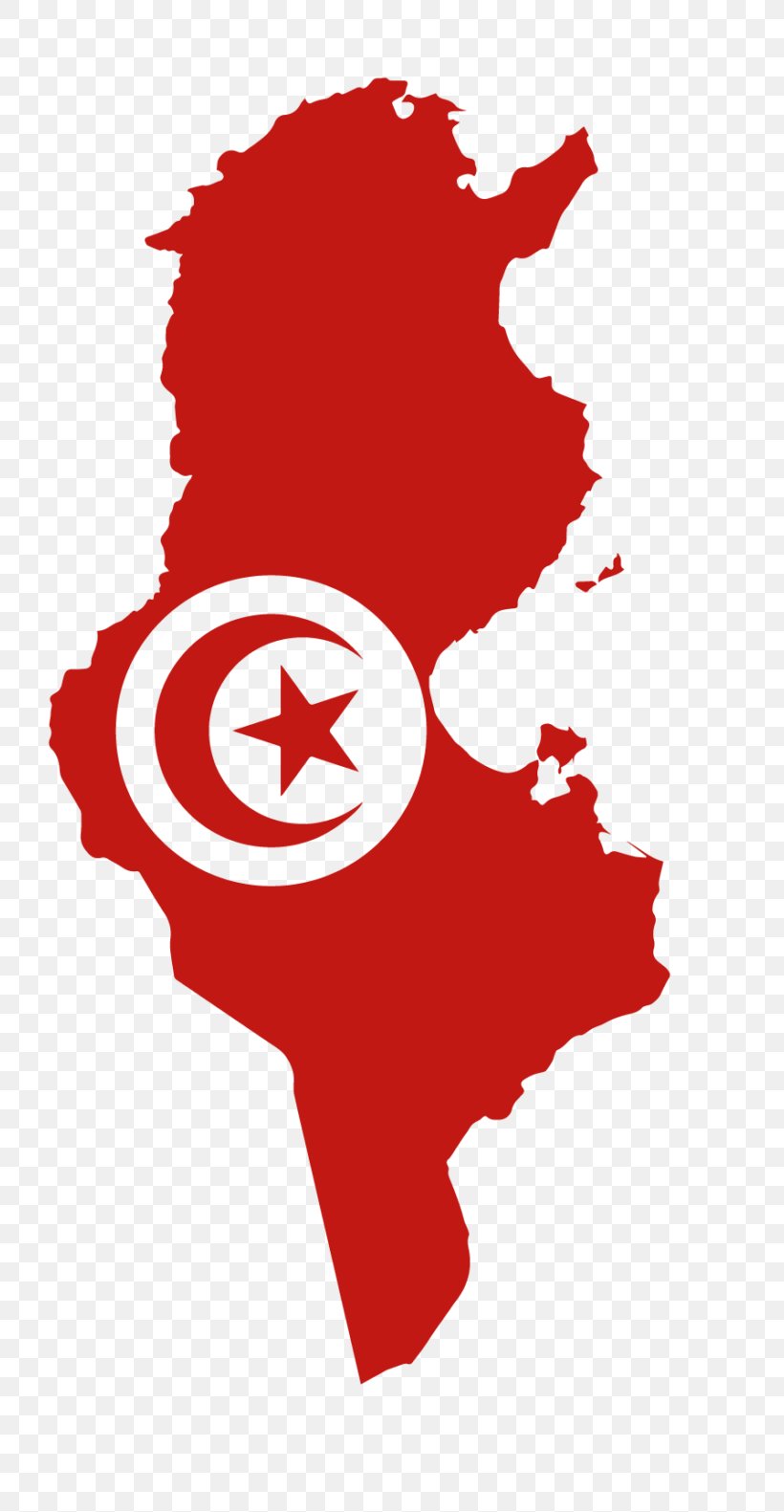 Flag Of Tunisia National Flag, PNG, 768x1581px, Tunisia, Art, Blank Map, Country, Fictional Character Download Free