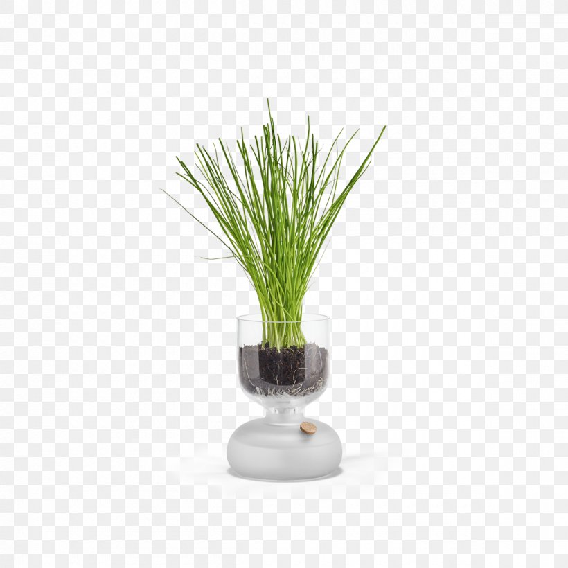Holmegaard Glass Flowerpot Gaia Potting Soil, PNG, 1200x1200px, Holmegaard, Carafe, Flower Box, Flowerpot, Frosted Glass Download Free
