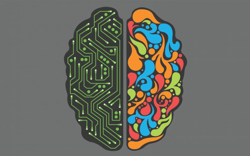 How Your Brain Works Computer Programming Programmer Lateralization Of Brain Function, PNG, 1680x1050px, Watercolor, Cartoon, Flower, Frame, Heart Download Free