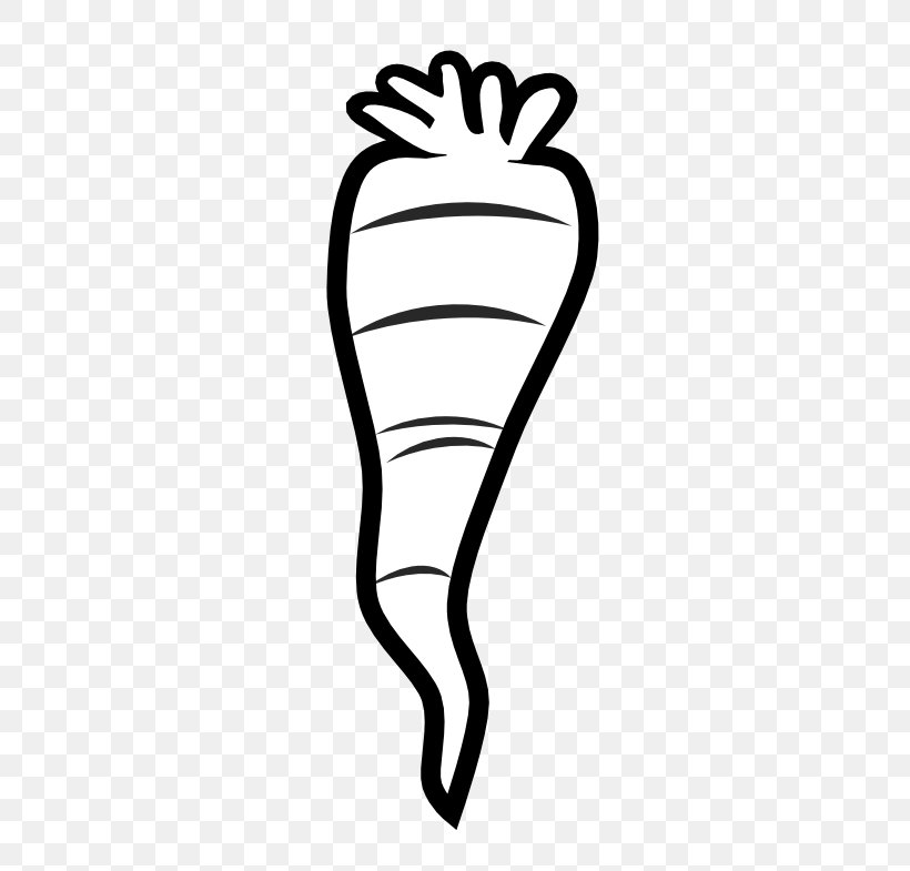 Carrot Black And White Arracacia Xanthorrhiza Clip Art, PNG, 555x785px, Watercolor, Cartoon, Flower, Frame, Heart Download Free