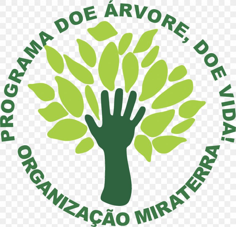 Tree Reforestation Logo Organization, PNG, 1600x1542px, Tree, Area, Branch, Brand, Evolution Download Free