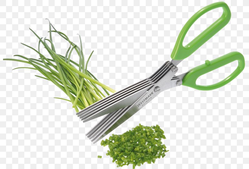 Kräuterschere Scissors Herb Stainless Steel Cleaning, PNG, 800x557px, Scissors, Blade, Brush, Cleaning, Cooking Download Free
