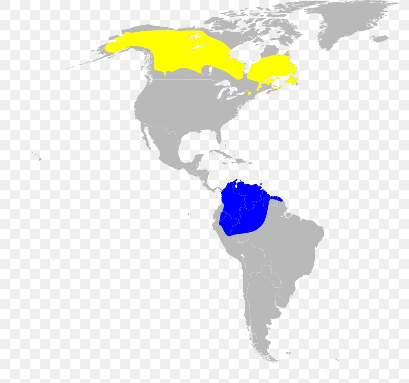 New World Warblers United States Map Scale, PNG, 792x768px, New World Warblers, Americas, Joint, Map, Map Collection Download Free