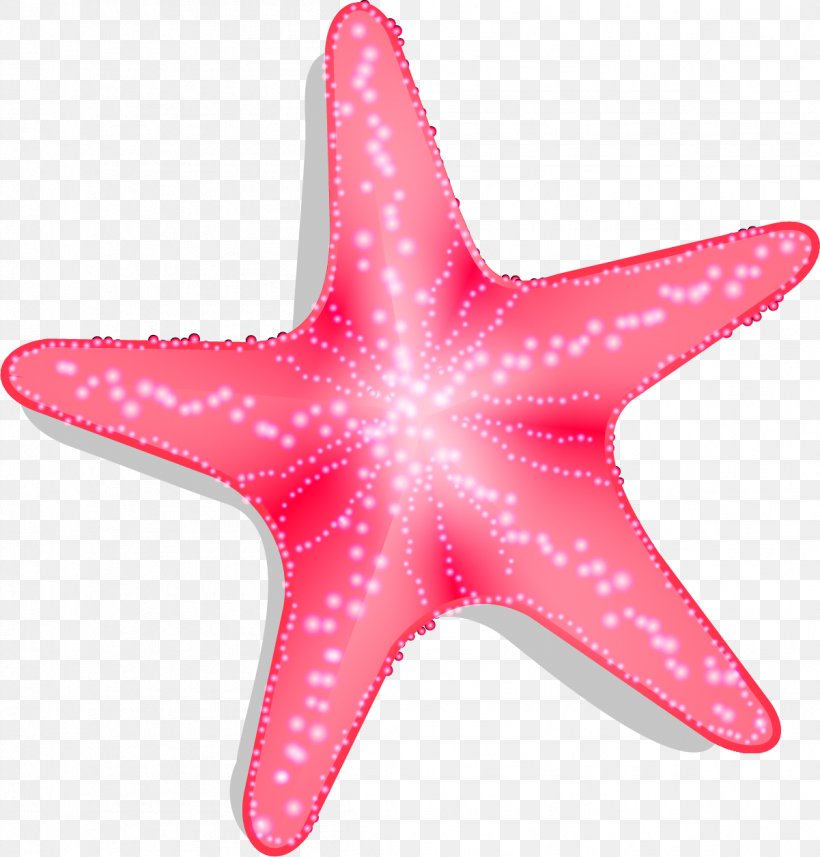 Starfish Pisaster Brevispinus Euclidean Vector, PNG, 1201x1256px, Starfish, Callopatiria Granifera, Echinoderm, Force, Invertebrate Download Free