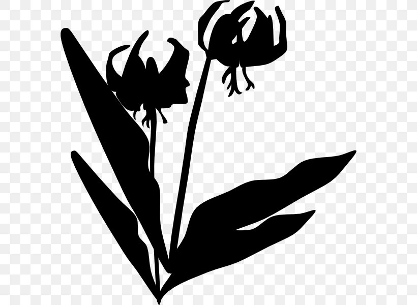 Clip Art Illustration Leaf Silhouette Plant Stem, PNG, 582x600px, Leaf, Beak, Black M, Blackandwhite, Botany Download Free