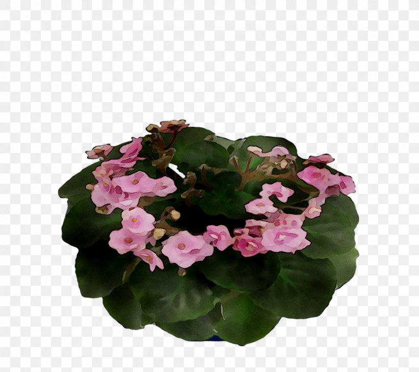 Cut Flowers Annual Plant Herbaceous Plant Violet Pink M, PNG, 1123x999px, Cut Flowers, Annual Plant, Flower, Flowering Plant, Flowerpot Download Free