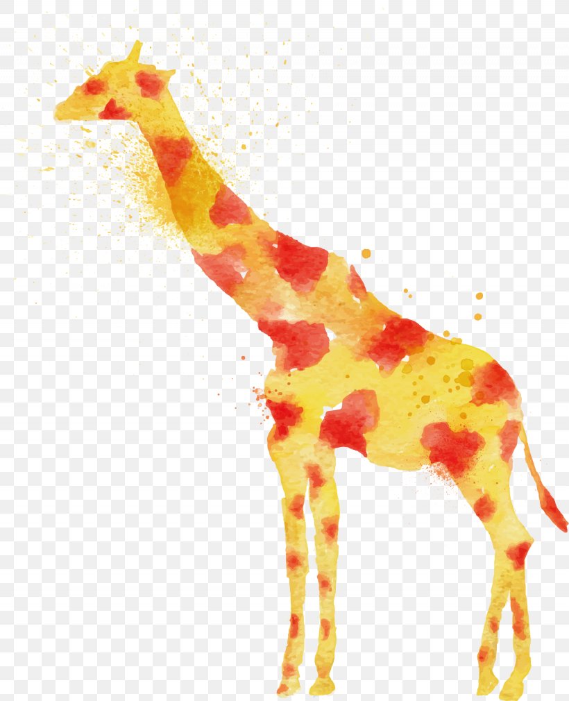 Giraffe Lion Watercolor Painting Drawing, PNG, 1845x2274px, Giraffe, Animal, Art, Color, Drawing Download Free