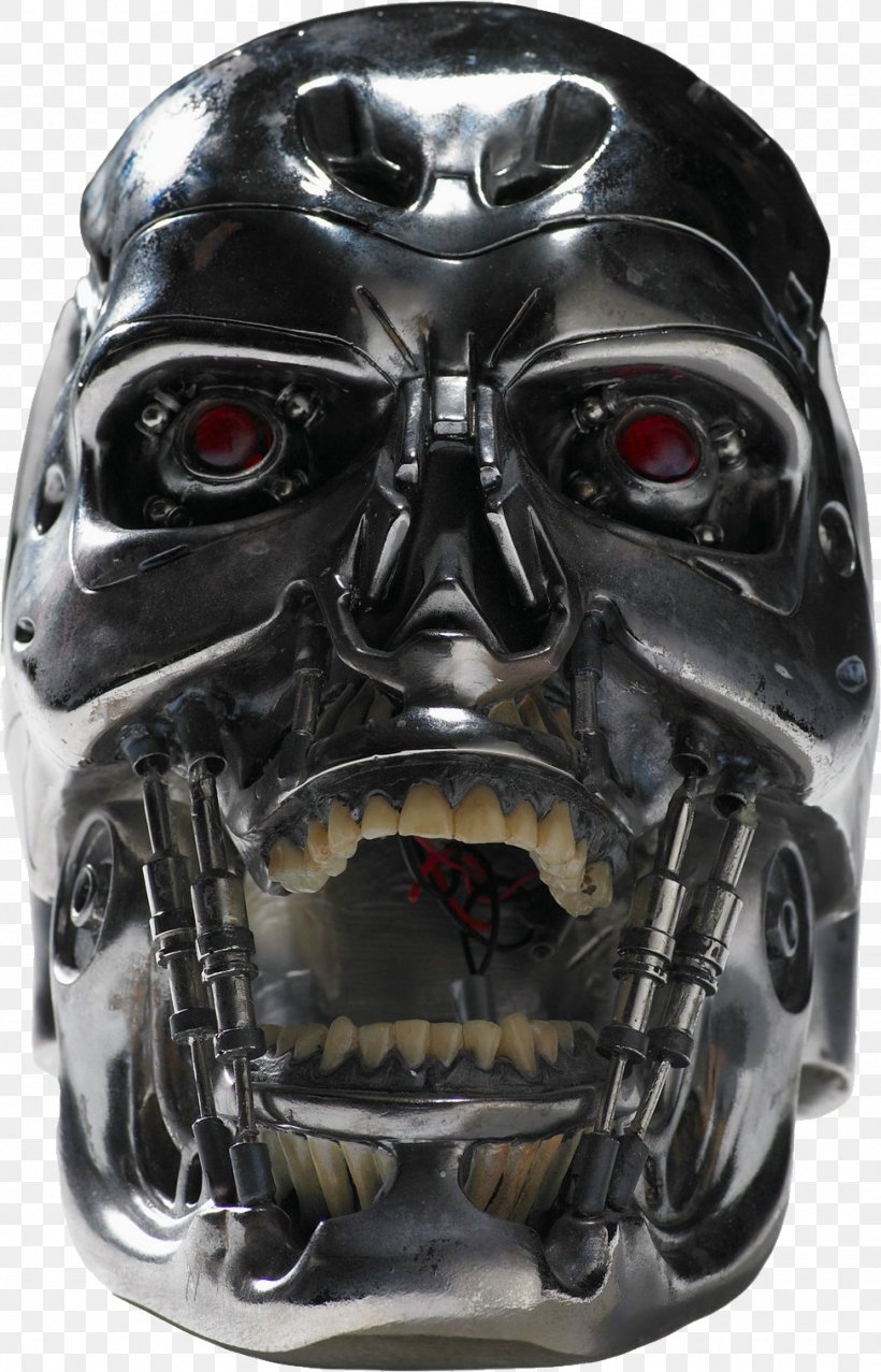 Terminator Sarah Connor John Connor Cameron Skynet, PNG, 974x1517px, Sarah Connor, Cameron, Helmet, Lena Headey, Motorcycle Accessories Download Free