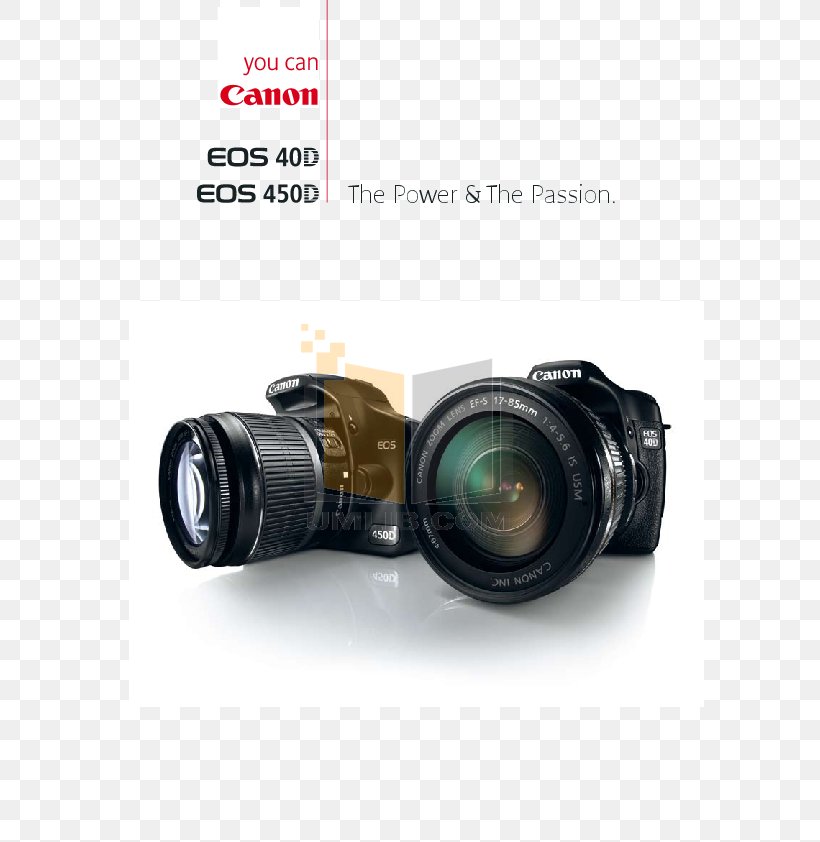 Digital SLR Canon EOS 40D Camera Lens Canon EOS 450D Single-lens Reflex Camera, PNG, 595x842px, Digital Slr, Aparat Fotografic Hibrid, Camera, Camera Lens, Cameras Optics Download Free