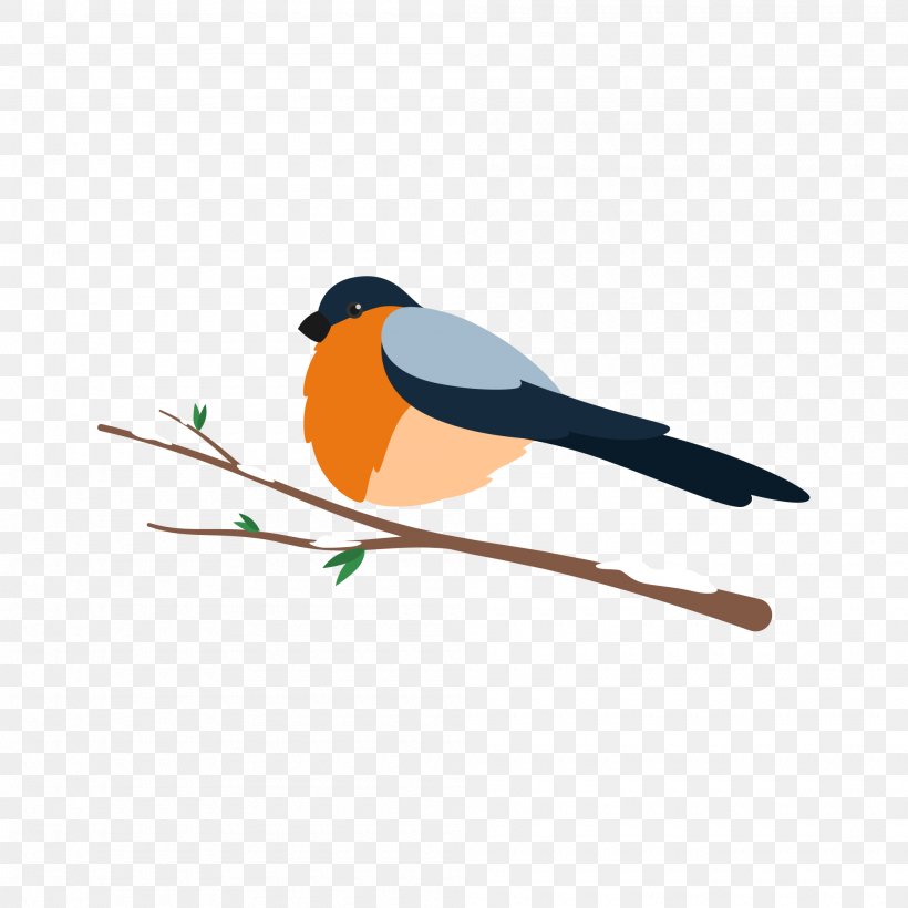 Lovebird Goose Parrot, PNG, 2000x2000px, Bird, Beak, Branch, Canada Goose, Drawing Download Free
