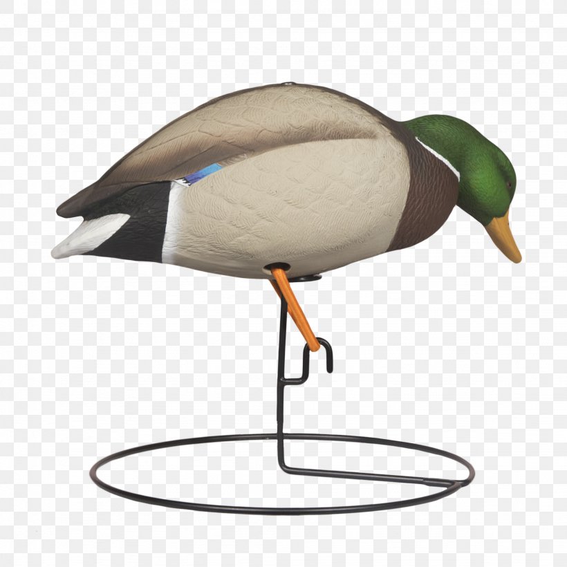 Mallard Duck Goose Bird Waterfowl, PNG, 2048x2048px, Mallard, Anatidae, Anseriformes, Beak, Bird Download Free
